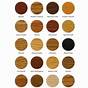 Zar Interior Stain Color Chart