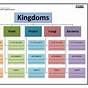 Domain And Kingdoms Worksheet