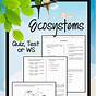 Ecosystems Worksheet 4th Grade