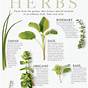 Herbs And Benefits Chart