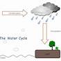 Flow Chart Of The Water Cycle