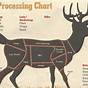 Elk Meat Cuts Chart