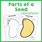 Reading A Seed Packet Worksheet