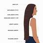 Hair Length Chart In Inches