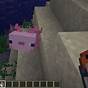 What Does Axolotl In Minecraft Eat