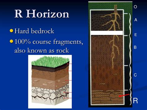 Ppt Soil Powerpoint Presentation Free Download Id 142407