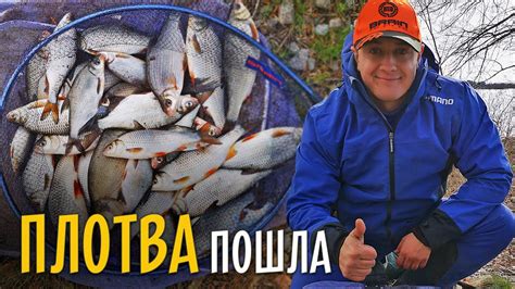 ХОД ПЛОТВЫ на Днепре. Рыбалка на фидер ранней весной. - YouTube