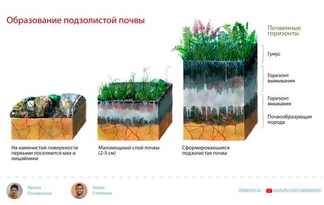 9. Почвенная среда обитания
