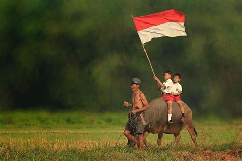 Kehidupan Indonesia
