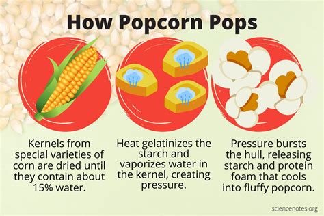 Popping stovetop popcorn with coconut oil
