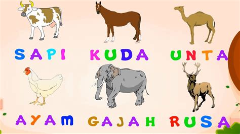 Belajar Nama-nama Hewan di Indonesia
