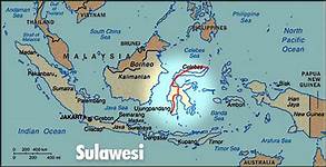 A strong 6.1 magnitude earthquake struck off the Indonesian island of ...
