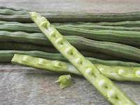 My Mom Cooked Moringa Before It Was A Superfood : Goats and Soda : NPR