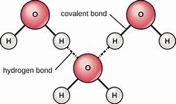 Fundamentals of Physics and Chemistry Important to Microbiology ...