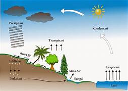 siklus hidrologi dan siklus karbon