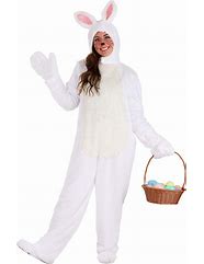 Image result for Women's White Rabbit Costume
