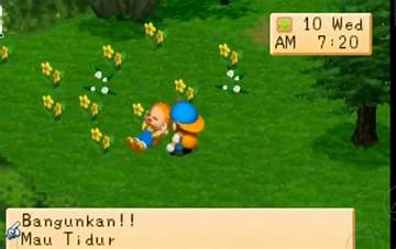 Multi Bahasa Harvest Moon Back to Nature Android