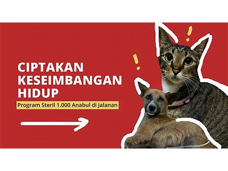 Donasi Pangan untuk Hewan Peliharaan yang Terlantar