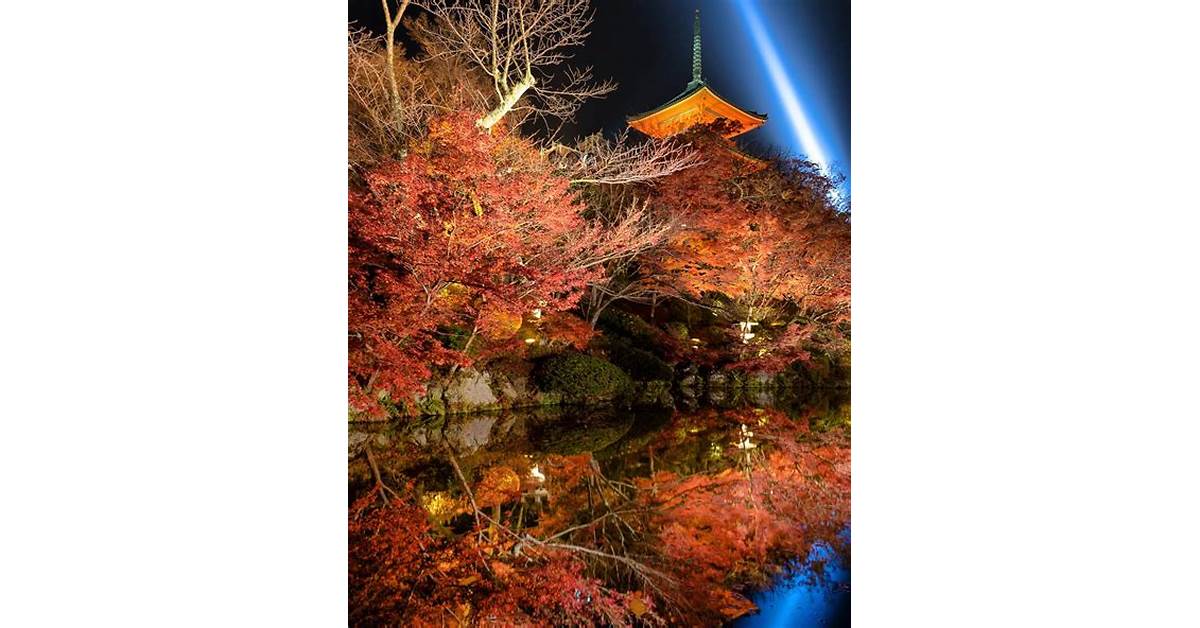 Mengunjungi Kyoto Pada Musim Gugur