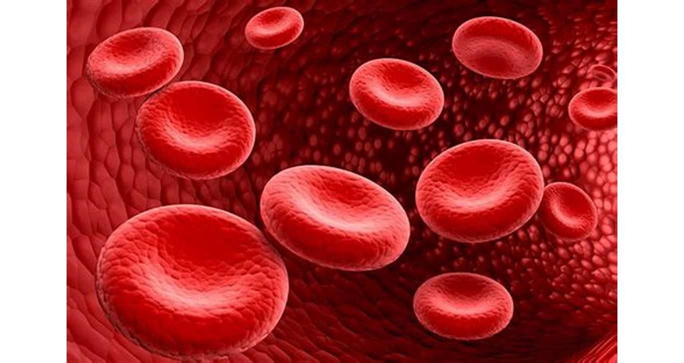 Sel Darah Merah
