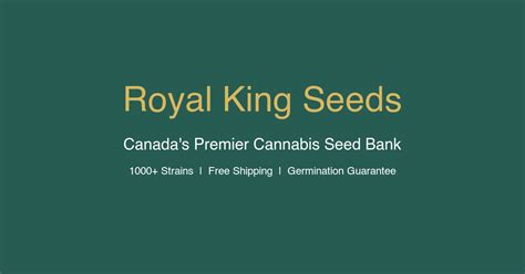 High THC Cannabis Seeds USA, 25%+ | Royal King Seeds USA