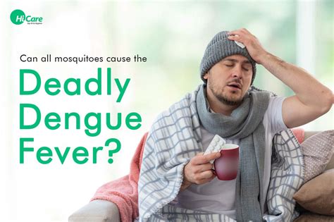 Can all mosquitoes cause the deadly dengue fever? – HiCare (A Rentokil ...