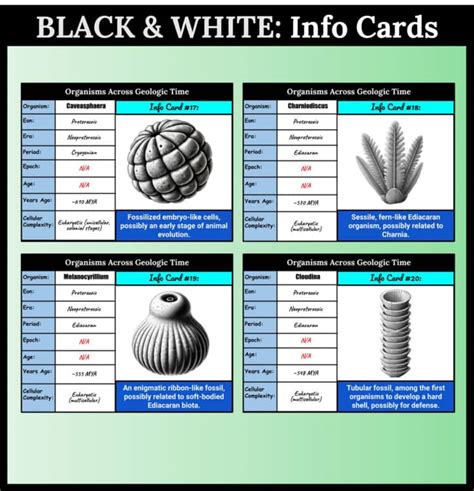 NGSS: Evidence of Common Ancestry and Diversity: Geologic Time Scale