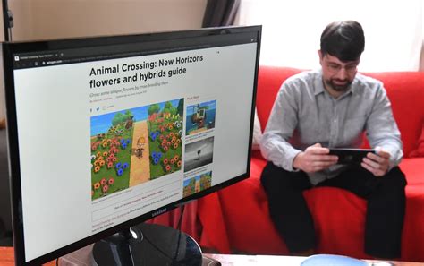Transform your ACNH island into a dream world