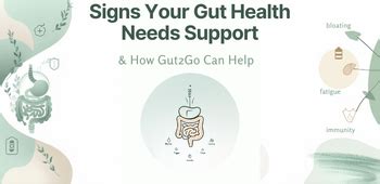 Signs Your Gut Health Needs Support & How Gut2Go Can Help Now ...