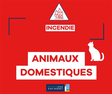 INFORMATION IMPORTANTE INCENDIE - Lège Cap Ferret