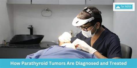 Liver Health - far north surgery