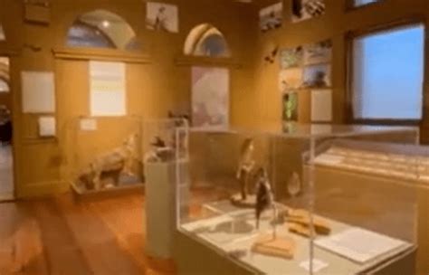 A peak inside RI’s only National History Museum