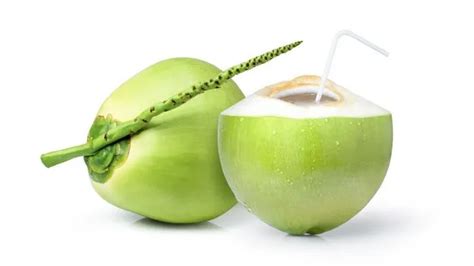 కొబ్బరిబొండాల ఎంపిక ఇలా... | Tender Coconut Tips How to Choose Water ...