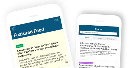 IPLC+: SAM-Guided Iterative Pseudo Label Correction for Source-Free ...