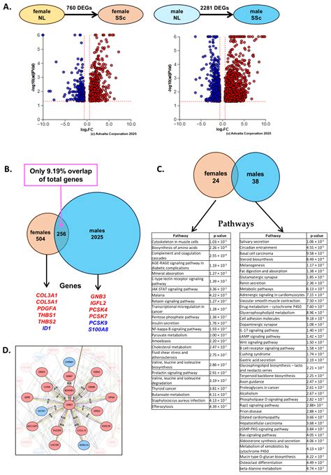 Sex Disparity in Systemic Sclerosis-Associated Pulmonary Fibrosis