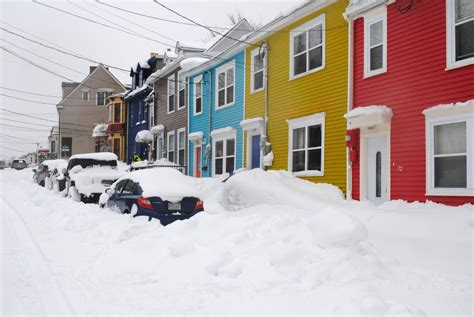 Storm dumps 50 cm of snow on parts of eastern Newfoundland, with more ...