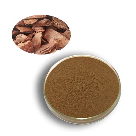 How Do Top Pine Bark Extract Powder Manufacturers Take Advantage Of New