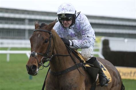 Cheltenham results RECAP: Day 3 tips and updates as Springwell Bay ...