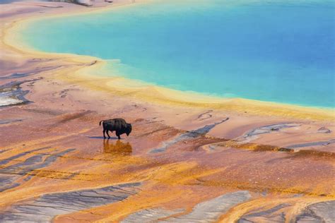 The 9 Best Yellowstone National Park Tours