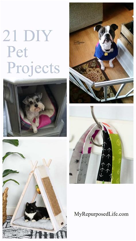 Pet Projects DIY Ideas For Your Furbabies My Repurposed Life