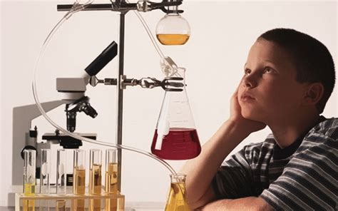 Rumah di Tengah Barisan Sawit | Sanggar Anak Alam