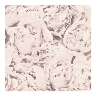 Rosenfield Light Pink Floral Wallpaper 20 5 X 396 X 0 025 Bed Bath
