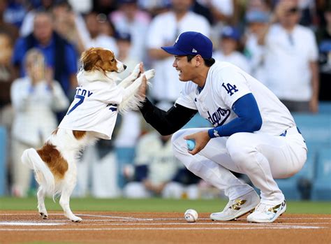 Shohei Ohtani Kissed His Dog Instead of His Wife After Winning MVP ...