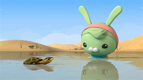 Octonauts: Above & Beyond on CBeebies HD: full details and when it's on ...