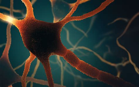 Frontiers in Aging Neuroscience