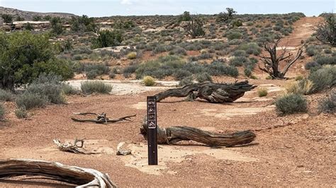 WEMO: Minimization Criteria - An Endless Standard - BlueRibbon ...