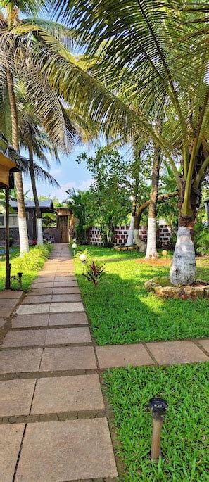 Wood Nest Resort (Arambol, ), Arambol hotel discounts | Hotels.com