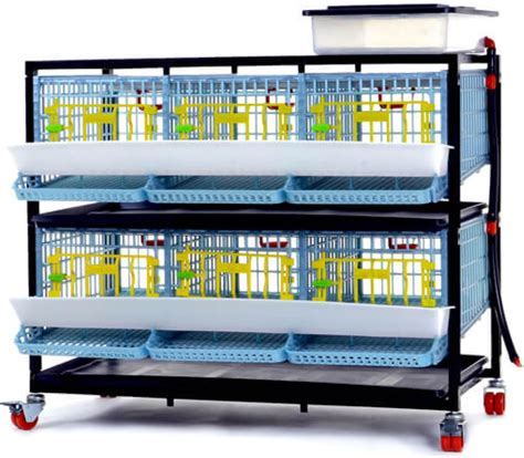 Cimuka Jumbo Quail Breeding Cage Indoor 2 Layer Stackable Quail ...
