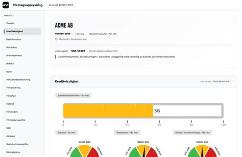 SCP SCANDINAVIAN CONCERT PROMOTION AB 556565-6831 - Kreditupplysning ...