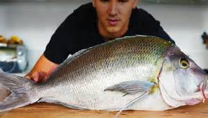 Snapper sushi reveals how delicate fish becomes a precision dish